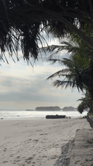 Family carries surfboards on Indonesian beach under overcast skies