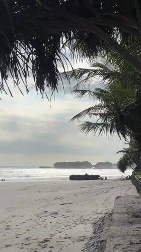 Family carries surfboards on Indonesian beach under overcast skies