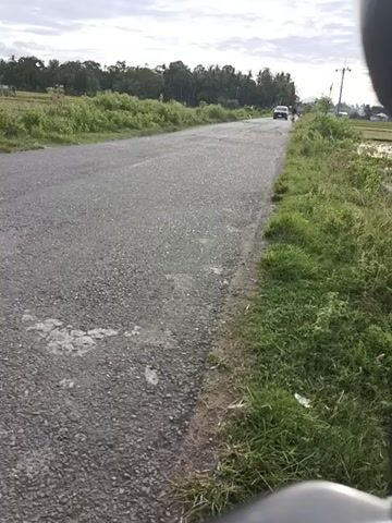 A small black car drives toward the camera on a narrow asphalt road. The road is flanked by green grass and trees on both sides. The sky is overcast. The video appears to be taken from a low vantage point.