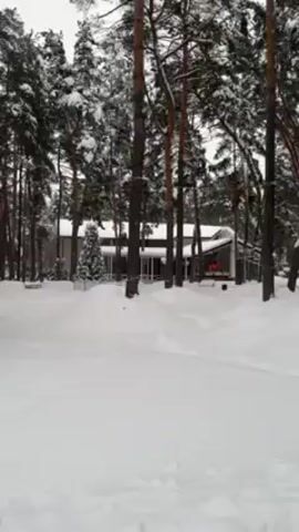 A person walking in snow captures scenes of snow covered buildings surrounded by snow covered trees. Then a group of four people walk along a snowy path. The area is covered in snow. The sky is overcast.