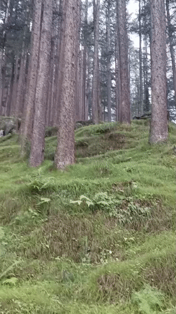 Manali, India