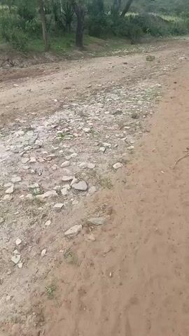 The camera shows a dirt road, transitioning from rocks and pebbles on the left to packed dirt on the right. Greenery and trees line the road in the background. The camera slowly moves forward, showing more of the dirt road.