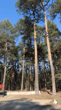 Domestic morning scenes recorded across Kazan, Russia