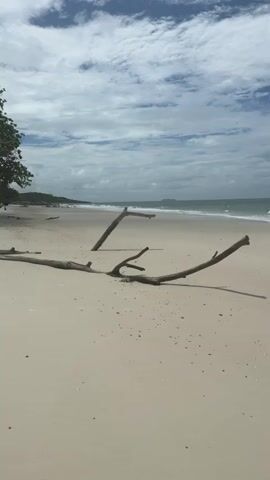 The video shows a sandy beach with the ocean in the background. Several pieces of driftwood are scattered on the sand in the foreground. The sky is cloudy. There are two people visible in the ocean in the distance. The waves are small.