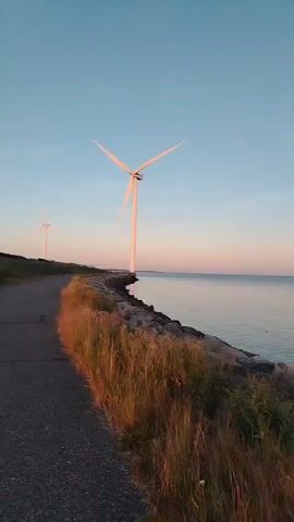 The video shows a wide shot of a body of water, likely the ocean, with a clear sky. A wind turbine is visible on the left side of the frame, positioned on a rocky shoreline with grass and reeds. The sun appears to be setting or rising, casting a warm glow on the scene and creating soft hues of pink and orange in the sky and on the water. The camera pans slowly to the right, focusing on the vast expanse of the water and the horizon. There are no people or animals visible in the video. The environment is serene and natural, emphasizing the beauty of the coastal landscape.