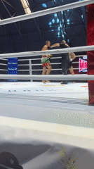 Boxing match underway in Plovdiv ring with referee present
