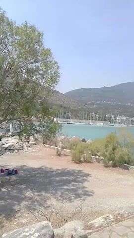 The video begins with a wide shot of a bay with numerous sailboats docked. The camera pans slowly to the right, revealing a treed hillside and a clear blue sky. In the foreground, there is a gravelly area with some sparse vegetation and large rocks. A person wearing red clothing is lying on the ground, partially obscured by shadows from a tree. As the camera continues to pan right, the treed hillside becomes more prominent, and a paved pathway appears in the lower right corner of the frame. The camera angle shifts to an upward perspective, showcasing more of the hillside and a street with a lamppost. The video ends with a view of the paved pathway leading away from the viewer and into the greenery.