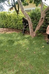 Morning household activities documented in rural Kenya communities