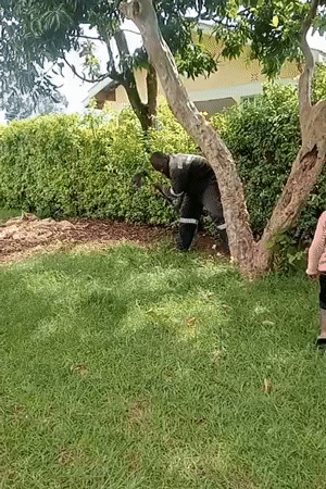 Morning household activities documented in rural Kenya communities