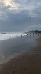Beachgoers enjoy morning at North Kuta with pirate kite overhead