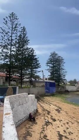 The video captures a serene coastal scene in Loualidia, Morocco, under a bright blue sky with scattered white clouds. It begins by showing a person sitting on a folding chair on a sandy area next to a low white wall. Two tall, dark green pine-like trees stand prominently on the left. In the mid-ground, a vibrant blue structure is visible, surrounded by other white buildings and a palm tree.

As the camera slowly pans from left to right, the focus shifts to a wide sandy beach and a calm body of water, possibly an estuary or lagoon, with patches of green algae near the shore. On the far bank of the water, a cluster of white buildings and more trees line the coast. The pan continues, revealing a broader expanse of the sandy beach and the water body, which stretches towards the distant horizon where low-lying land formations are visible under the clear sky. The overall impression is one of peaceful coastal landscape. No discernible text is visible within the video frames.