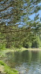 Peaceful lake scene captured in Novyi, Russia