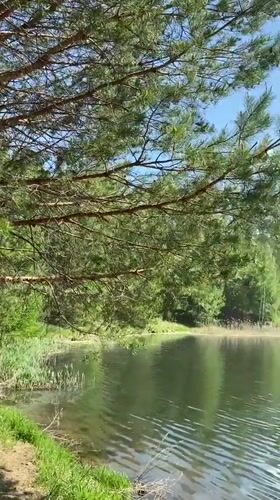 Peaceful lake scene captured in Novyi, Russia