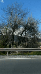 Traveler captures sunny mountain scenery from road in Bulgaria