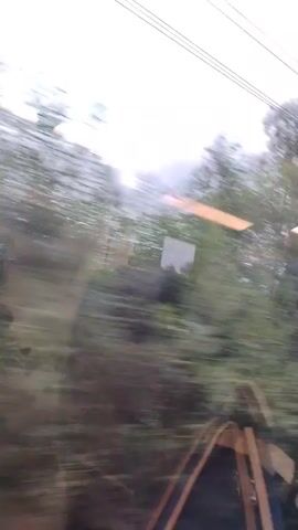 This is a first-person perspective video taken from inside a moving vehicle, likely a train, looking out of a window. The foreground is dominated by the blurred interior of the vehicle, with glimpses of seats or structural elements. The dominant feature of the video is the rapidly passing scenery outside. The environment appears to be a mix of trees and foliage, with a cloudy, overcast sky overhead. Several thin, dark lines, likely power lines, stretch across the sky and are reflected in the window, adding to the sense of motion and the layered perspective. There are also bright, horizontal streaks of light, which are likely reflections of lights inside the vehicle or from external sources, superimposed on the passing landscape. The motion is continuous and appears to be at a moderate speed, causing significant blur in both the interior and exterior elements of the scene.
