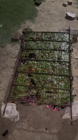 A large metal grill filled with green leaves is placed over a fire. The grill is elevated by concrete blocks and metal supports. The leaves appear to be cooked or being cooked, with some parts charred. The surrounding area is dirt and grass, with scattered bricks and debris. The scene is outdoors at night.