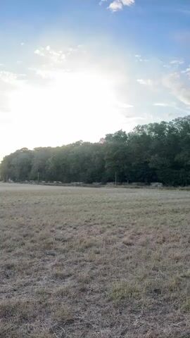 A video of a field at dusk. The sky transitions from a bright blue with scattered clouds to a soft orange and pink as the sun sets behind a line of trees. The field itself is covered in dry, brown grass. In the distance, a fence with tall poles stretches across the horizon. The overall scene is peaceful and serene.