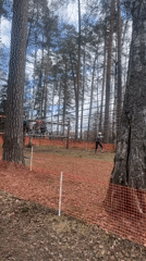 Obstacle course training session held in Russian forest