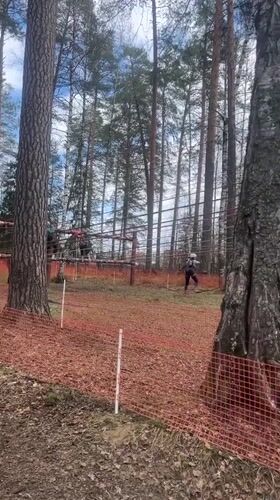 Obstacle course training session held in Russian forest