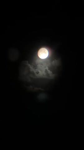 The media file displays a close-up view of a full moon against a dark night sky. The moon is illuminated, casting a bright, warm glow. Wispy, dark clouds drift across the moon, partially obscuring it and creating a dramatic contrast. The edges of the moon exhibit a subtle, colorful halo, possibly due to atmospheric conditions or the camera's lens.

The overall scene evokes a sense of nocturnal tranquility and mystery. The blackness of the sky serves as a stark backdrop, emphasizing the moon's radiance. The presence of clouds suggests a temperate or possibly humid atmosphere, common in Tolyatti, Russia, where the moon can appear differently depending on weather patterns. There are no people or specific objects visible, focusing the viewer's attention solely on the celestial body and the surrounding atmosphere. The time of day is clearly night, indicated by the darkness. The mood is serene, with a hint of the sublime, as the moon dominates the frame. There is no visible text within the media file.