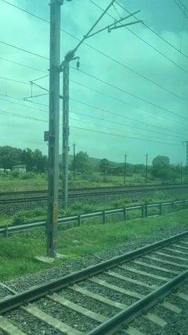 A train travels along parallel railway tracks through a rural landscape. Overhead power lines run along the tracks. The sky is overcast. Green vegetation, including grass and trees, is visible on either side of the tracks. A yellow sign with a black "T" and "P" is visible on the right side of the tracks. The camera appears to be positioned inside the train, looking out the window.