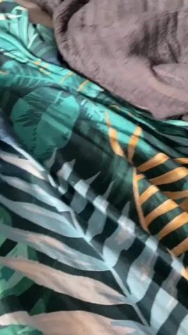 A black and tan Dachshund peeks out from under a gray blanket on a bed. The bed has a duvet cover with a tropical leaf pattern in shades of green, blue, and yellow. Two red decorative pillows with intricate patterns are visible behind the blanket. The dog's head and front portion of its body are visible. The dog's eyes are open and it appears to be looking towards the camera.