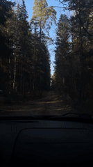 Forest drive documented on dirt road near Chaikovsky
