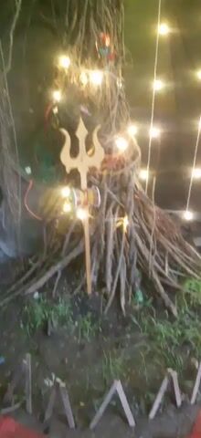 A tripod with a trishul and a damaru is placed in front of a tree with aerial roots. The tree is decorated with fairy lights, some of which are green and some are yellow. The video pans up the tree, showing more fairy lights and some leaves.