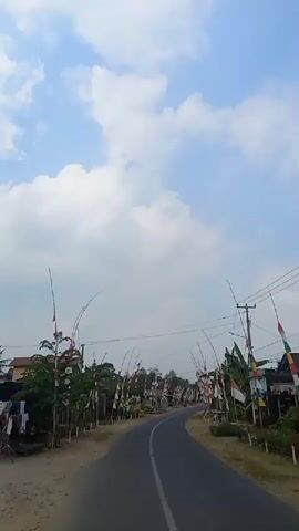 This is a first-person perspective video shot from a moving vehicle on a rural road. The road is paved and curves to the right. Both sides of the road are lined with tall, thin bamboo poles adorned with small Indonesian flags. The flags are predominantly red and white, with some interspersed with other colors. Lush green foliage, including what appears to be banana trees, grows along the roadside. In the distance, there are houses with traditional roofs and utility poles with electrical wires crisscrossing the sky. The sky is bright blue with scattered white clouds. The overall scene suggests a festive atmosphere, possibly in celebration of Indonesian Independence Day given the prominent display of the national flag colors.