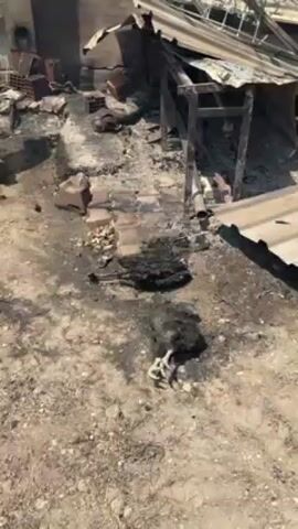 The video shows a scene of fire damage. A dead, charred bird lies on the ground in the foreground. Behind it, there is debris, including bricks, corrugated metal, and a metal frame. The remnants of a building are visible, with charring on the walls and a window frame. Smoke is rising in the background. The ground is dry and dusty. The overall scene depicts destruction and aftermath of a fire.