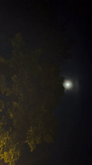Moon with halo filmed through trees in Târgu Mureș