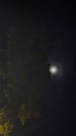 Moon with halo filmed through trees in Târgu Mureș
