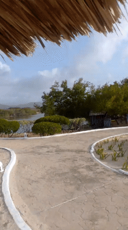 Witness documents evening scenes at Venezuelan coastal resort