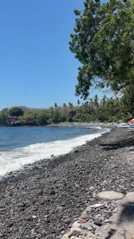 A beach with black pebbles and some larger rocks occupies the foreground. Waves are rolling in and breaking on the shore. In the midground, several people are visible in the water, swimming or wading. The water is dark blue. The background shows a line of trees and vegetation, and a hill with some structures on it. A large tree with green leaves is in the upper right corner of the frame. The sky is clear and blue.
