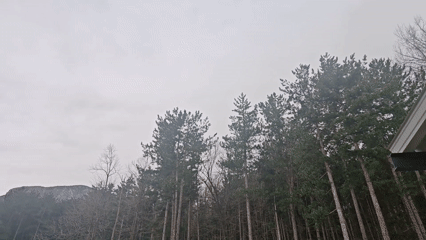 Forest landscape documented under cloudy skies in Vratsa Bulgaria
