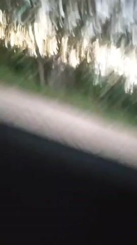 The video shows a blurry, fast-moving view of a tree-lined area, possibly from a vehicle. The sun is visible through the trees, creating bright streaks of light. The ground appears to be dirt or gravel, and there is green grass on the side of the road. The movement is rapid, suggesting the camera is in motion. The lighting indicates it is likely dusk or dawn. There are no people or identifiable objects clearly visible due to the blur.