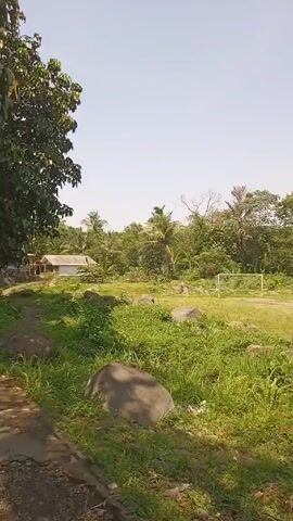 The camera pans across a bright, sunny outdoor scene. The foreground features lush green grass and dense vegetation, interspersed with several large, smooth rocks. In the background, a grassy field leads to a variety of trees, including palm trees. Scattered buildings are visible among the trees. A white goalpost stands in the middle of the field. The sky is clear and pale blue.
