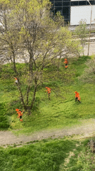 Maintenance crew mows grass in Sofia green space