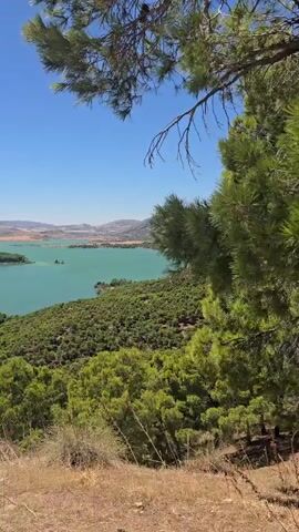 The video shows a panoramic view of a large, turquoise lake surrounded by lush green hills and trees. The sky is clear blue and the sun is shining brightly, suggesting a warm day. In the foreground, dry grass and a few shrubs are visible, indicating a natural, somewhat arid environment. The camera appears to be positioned on a slight incline, looking down towards the lake and the distant horizon, where more hills and landforms can be seen. There are no people or man-made structures immediately visible in the shot. The scene conveys a sense of natural beauty and tranquility.