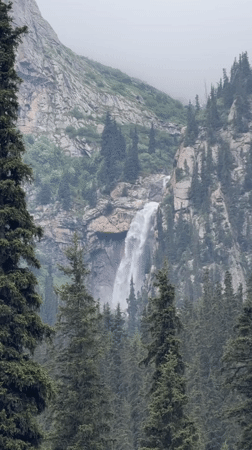 Misty Kyrgyz mountain camp with forest views and local hospitality