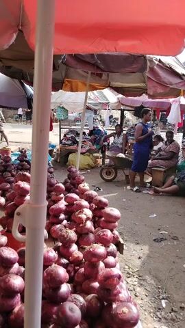 The image depicts a bustling outdoor market scene, likely during the daytime under sunny conditions, indicated by the bright light and the use of numerous umbrellas for shade. In the immediate foreground, a substantial pile of red onions is displayed for sale, positioned under a large red market umbrella.

Several people, predominantly women, are visible in the mid-ground and background. One woman, wearing a vivid blue dress and sandals, stands prominently in the center, facing slightly away from the camera. Other individuals are seated on low stools or directly on the ground, surrounded by various market goods. A wheelbarrow is present in the mid-ground near some of the seated women.

Further into the background, additional market stalls are visible with clothes hung on lines and other products laid out. The ground is unpaved, appearing as dirt. A small cluster of red chili peppers or similar produce can be seen on the right side of the foreground. The scene conveys the lively atmosphere of a local market where vendors are engaged in daily commerce. No text is visible in the image.