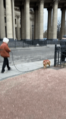 Ordinary afternoon moments captured around Saint Petersburg's Kazan Cathedral