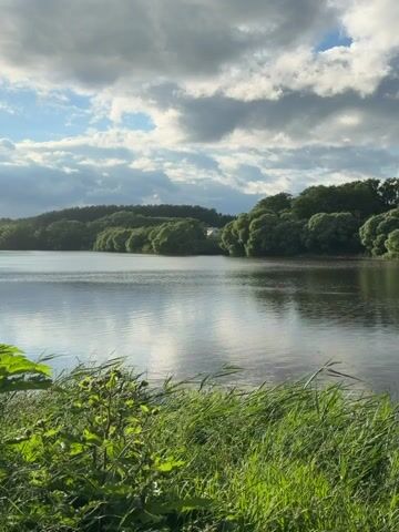 A drone shot shows a serene lake surrounded by lush green trees under a cloudy sky. The camera pans slightly, revealing the rippling surface of the water reflecting the sky. In the foreground, tall green grass sways gently in the breeze, adding a sense of natural movement to the tranquil scene.