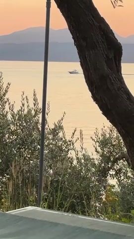 A boat moves across a body of water. The water is calm and reflects the light of what appears to be a sunset. In the background, mountains are visible. In the foreground, there are trees and bushes. A pole is also visible in the foreground.