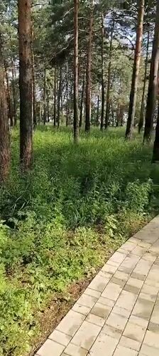 Svirsk, Russia