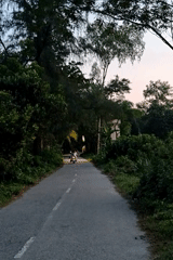 Rural Bangladesh: a pylon, power lines, and a passing scooter at dusk