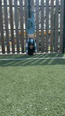 Two women prepare for pull-up workout at Kiryat Bialik park
