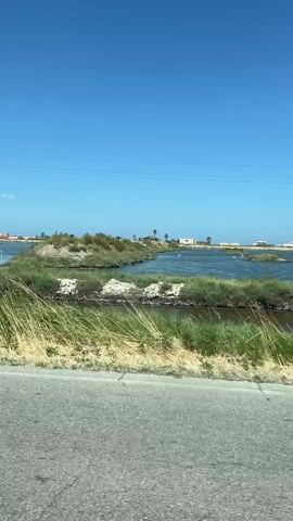 A silver car drives past a body of water with green reeds and grass in the foreground. In the distance, there are buildings and palm trees, and a clear blue sky overhead. The sun reflects off the car window.