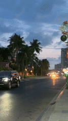 Evening traffic flows through palm-lined street in Vietnam