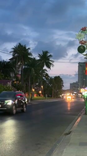 Evening traffic flows through palm-lined street in Vietnam